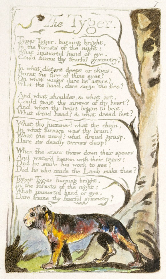 Copy A of Blake's original printing of The Tyger, c. 1795. Copy A is currently held by the British Museum. [Wikipedia]